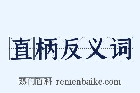 直柄反义词是什么意思的图片